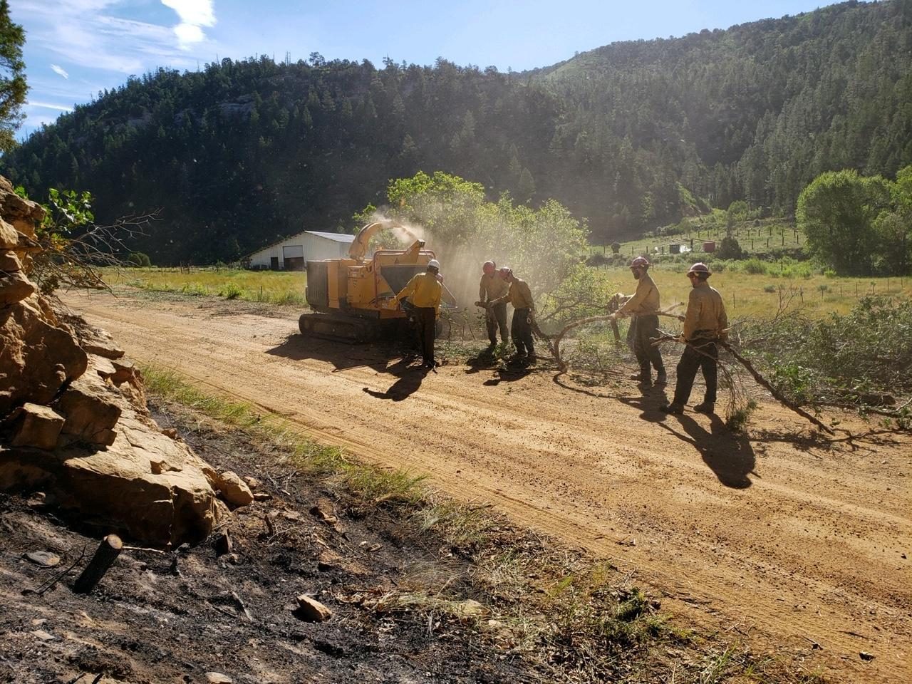 Brush and overgrowth being cleared along a driveway corridor