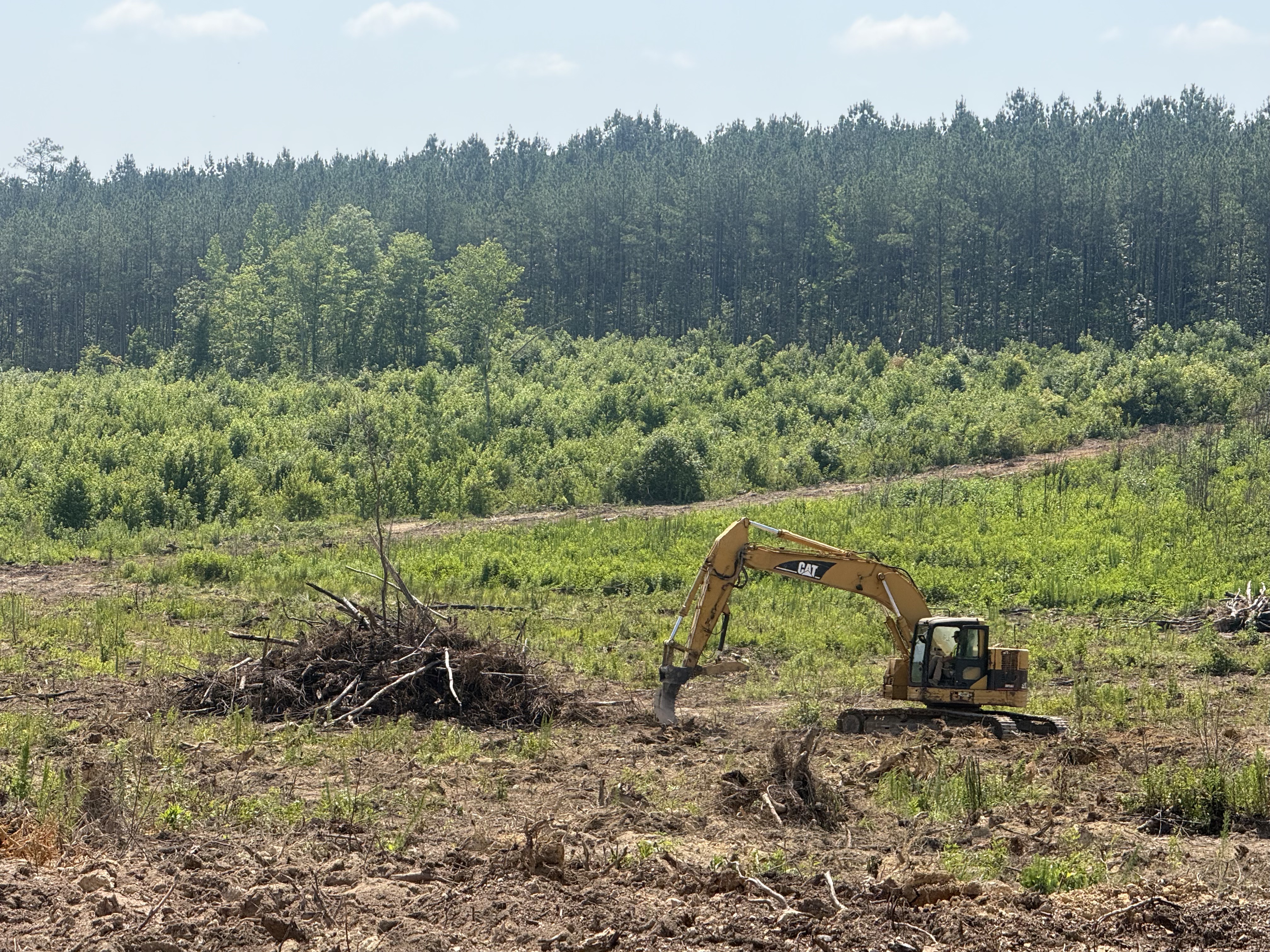 Excavator clearing brush across a wide site