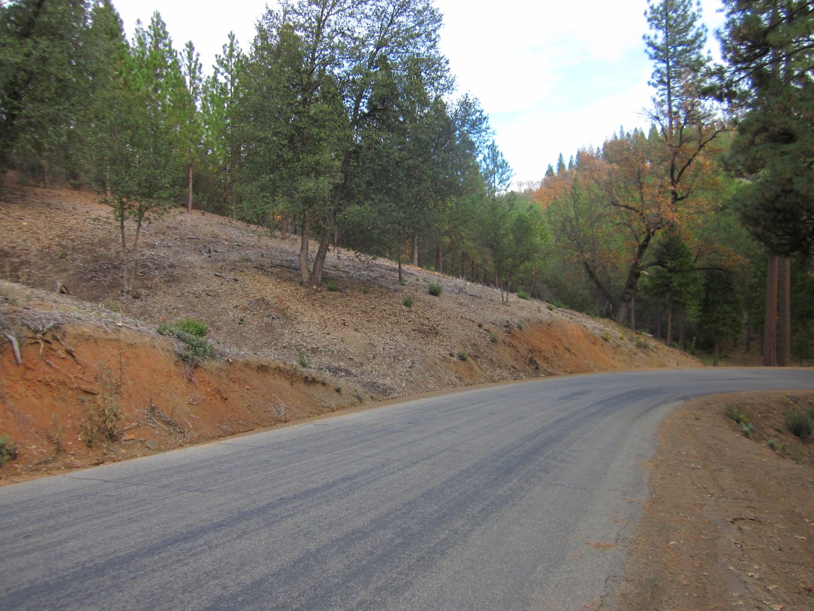Dozer cutting a firebreak line through woods
