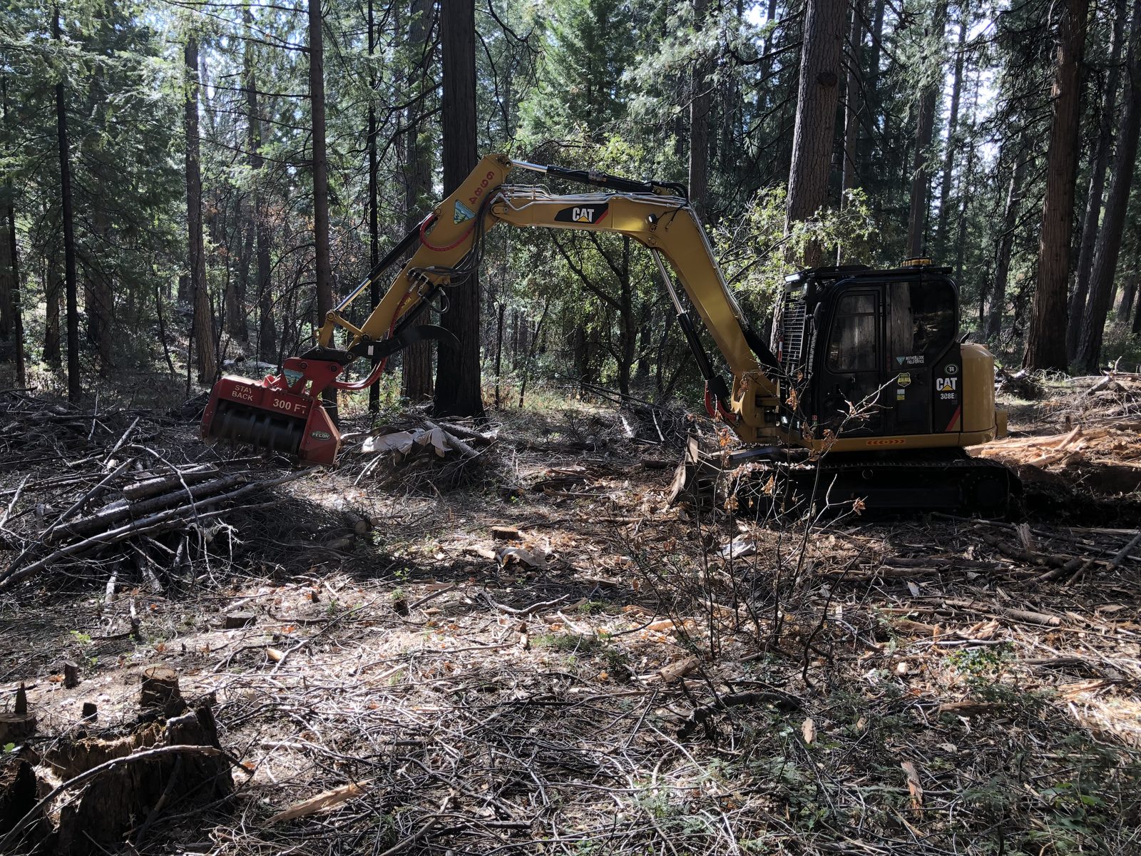 Forestry mulcher working through dense undergrowth