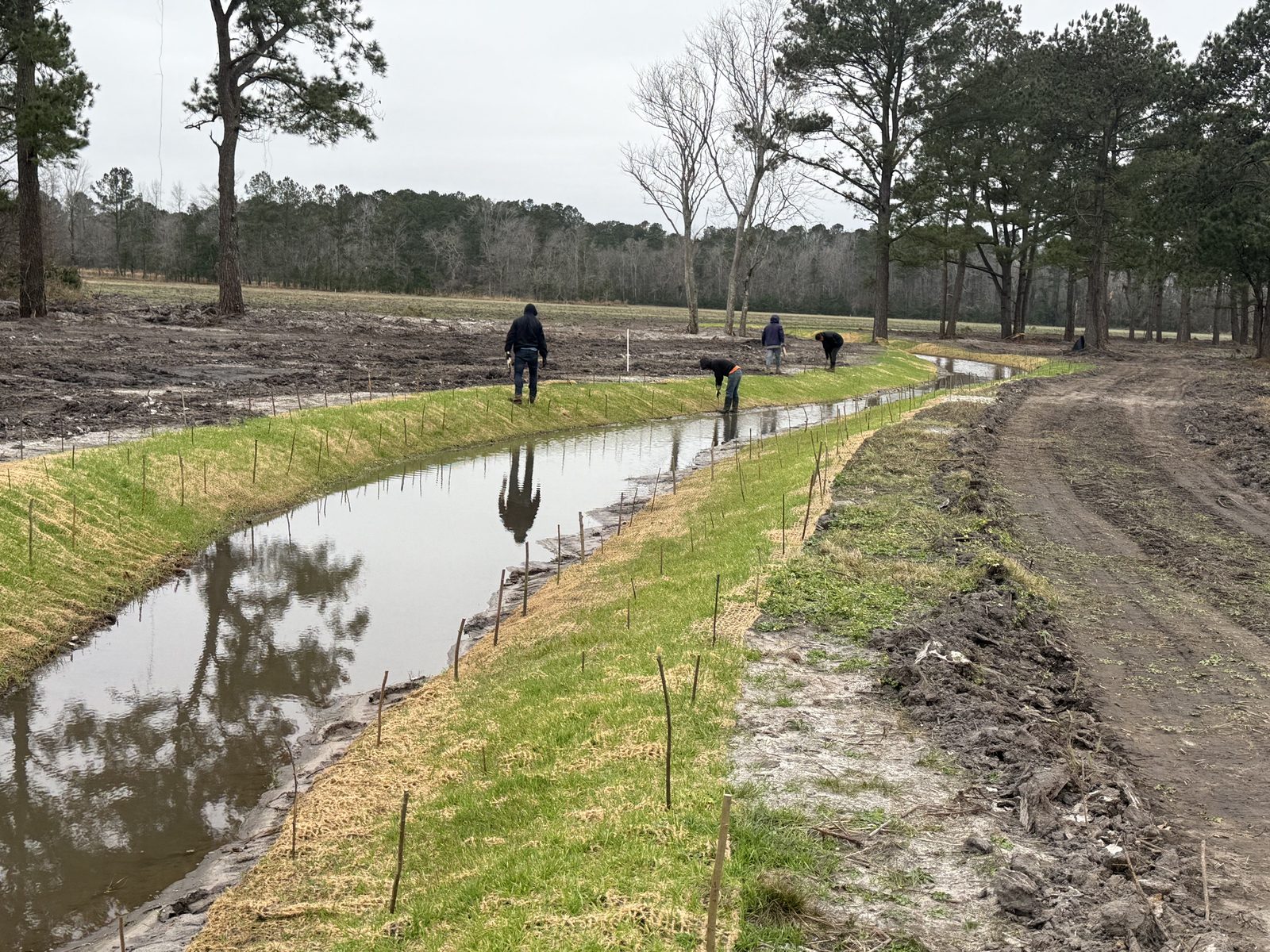 Crew staking and stabilizing stream banks